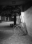 blackwhite 3