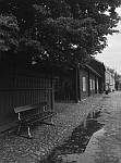 blackwhite 8