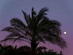 landscape 1