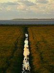 landscape 6