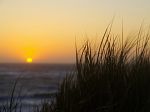 landscape 7