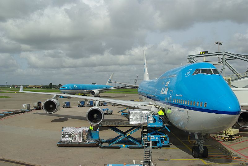 http://www.photo-phil.org/planepictures/LPIAMSJFK27.jpg